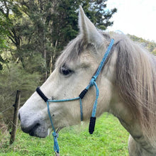 Load image into Gallery viewer, Knotless Rope Halter