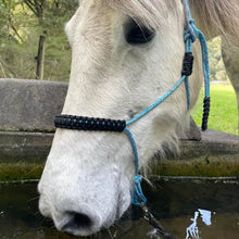 Load image into Gallery viewer, Knotless Rope Halter