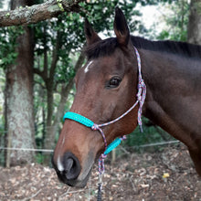Load image into Gallery viewer, Rope Halter