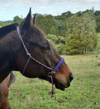 Load image into Gallery viewer, Bitless Bridle