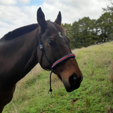 Load image into Gallery viewer, Bitless Bridle