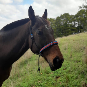 Bitless Bridle