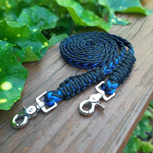 Reins