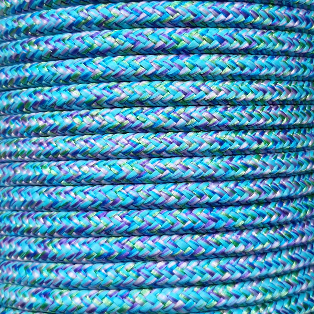 Bitless Bridle