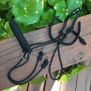 Bitless Bridle